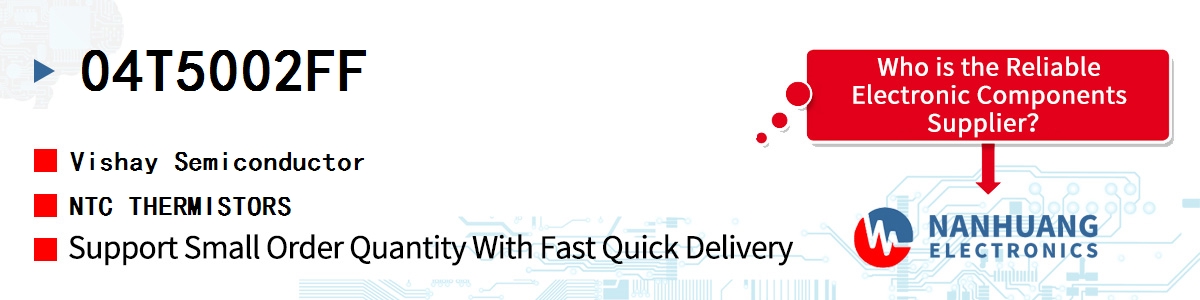 04T5002FF Vishay NTC THERMISTORS
